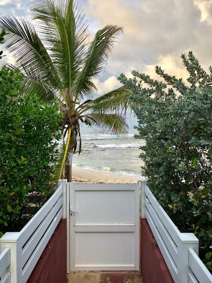Appartement Au Bord De Mer Le Moule Eksteriør billede